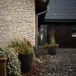 Boski Zakatek Bed and Breakfast Wielka Wies (Krakow)