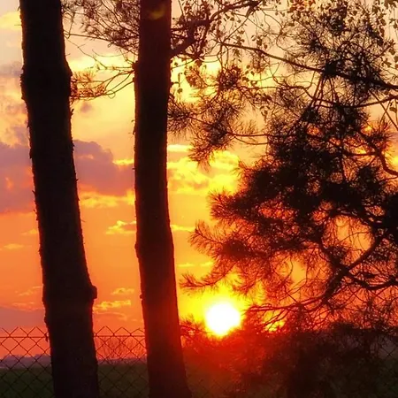 Boski Zakatek Wielka Wies (Krakow)